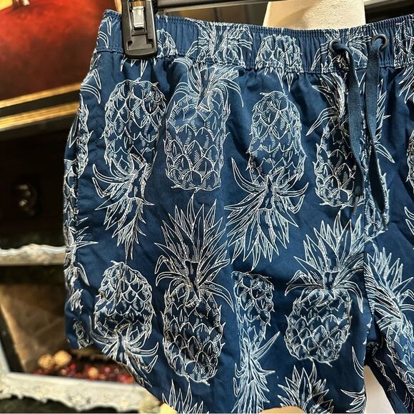 Lauren James Blue Pineapple Print Shorts Size Large - Picture 3 of 10